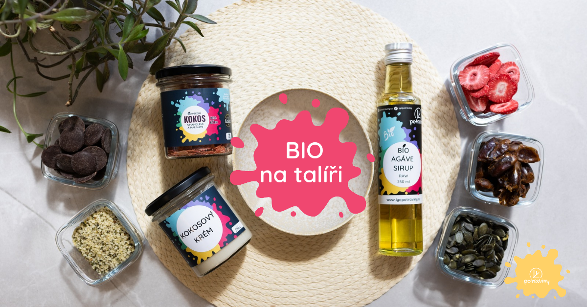 Minimalist Grey Cat New Article Facebook Ads_20250924_191400_0000